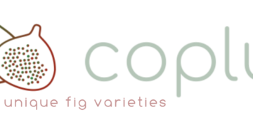 Bordissot Negra Rimada